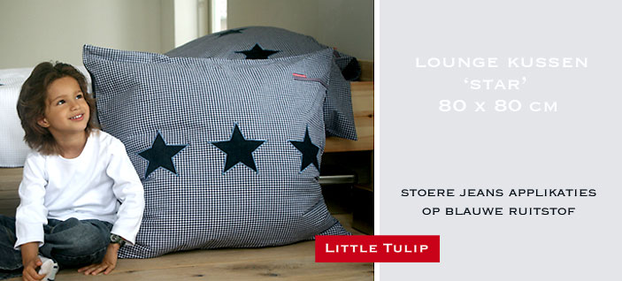 blauw kussen met ster Star Blue Royaal kussen in klassieke blauwe ruit met 3 applikaties applikatie van sterren in blue jeans.De  achterkant van stevige blue jeans maakt dit kussen lekker stevig. 